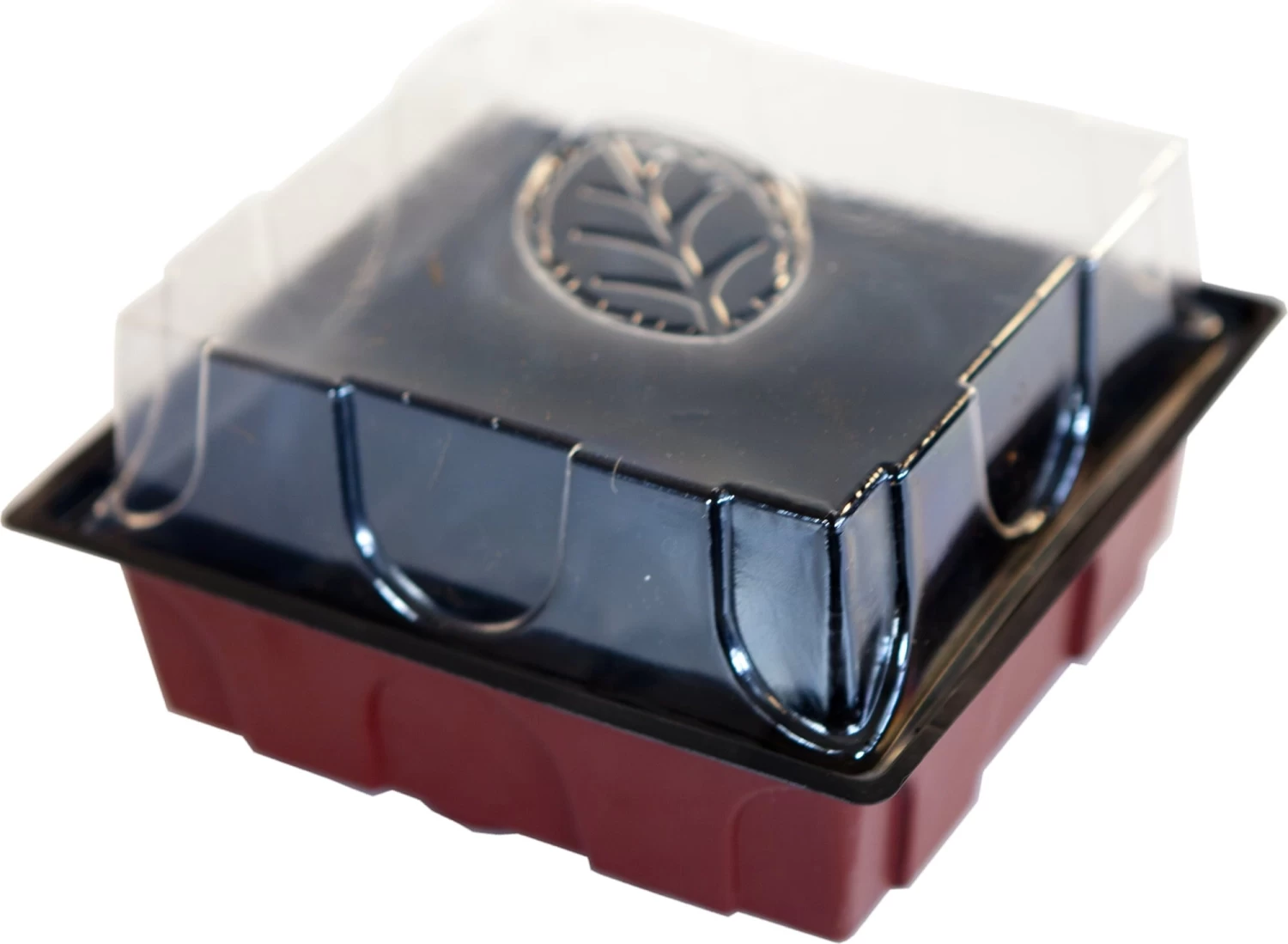 Windhager Zimmertreibhaus Inkl. 12 Quelltabs – Bild 4