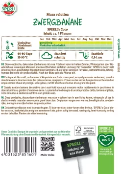 Zwergbanane "Sperli's Coco"
